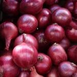 Red Baron Onion Seed