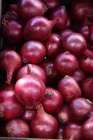 Magnate F1 Onion Seed