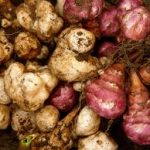 Jerusalem Artichokes