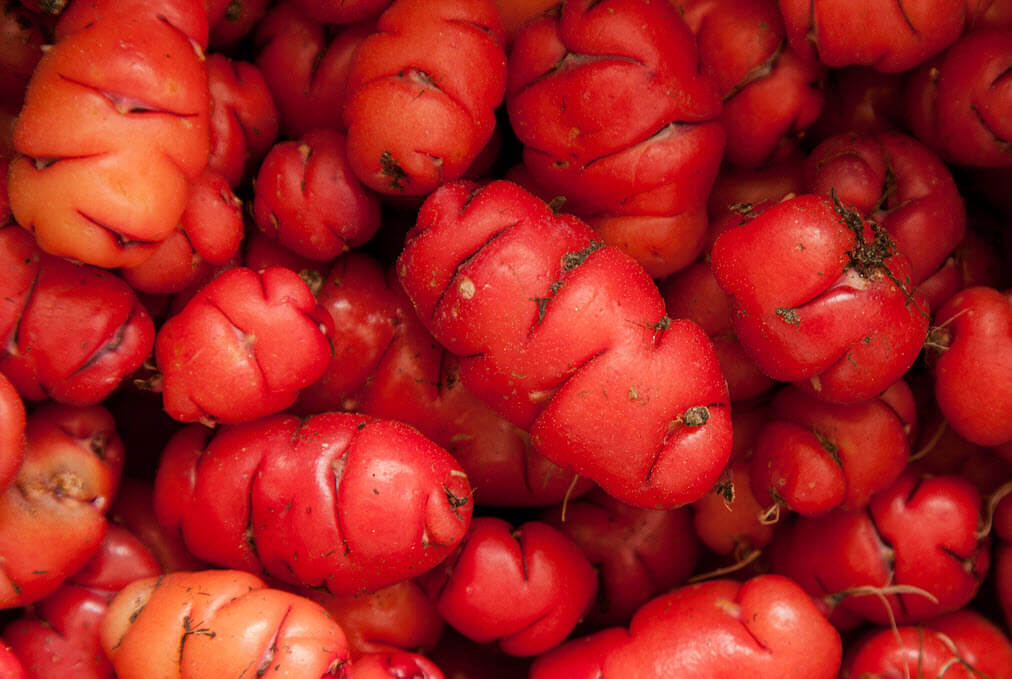 Oca Tubers