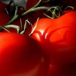 Tomato, Greek - Ancient Epidavros