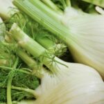 Florence Fennel - Romanesco