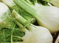 Florence Fennel - Romanesco